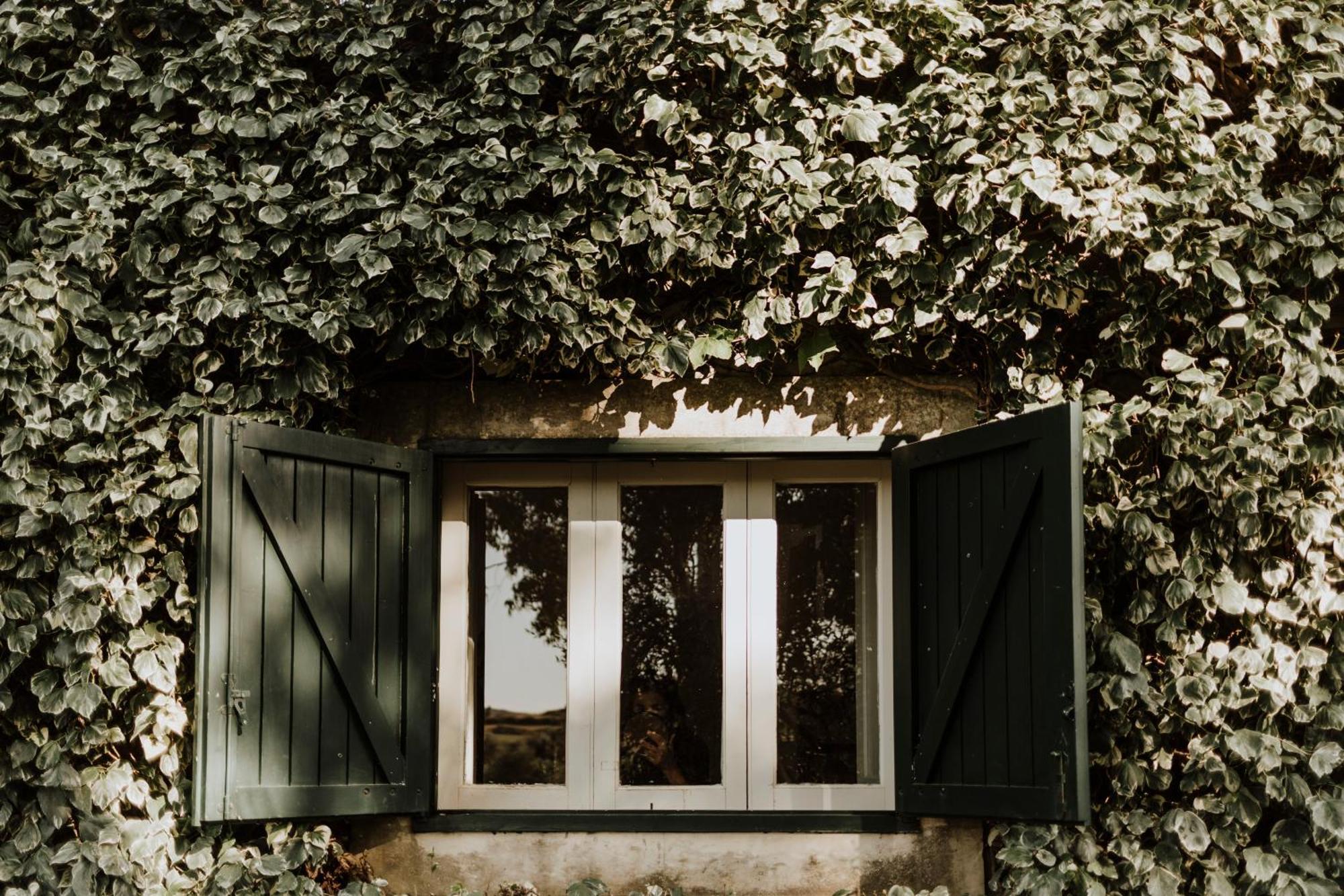Bibbia- Tenuta Di Campagna Palazzolo Acreide Εξωτερικό φωτογραφία